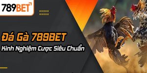 789BET - sân chơi chọi gà cựa sắt lừng danh