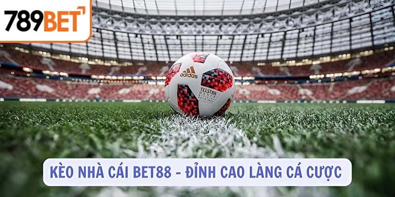 Giới thiệu về kèo cá độ BET88 - đỉnh cao làng cá cược